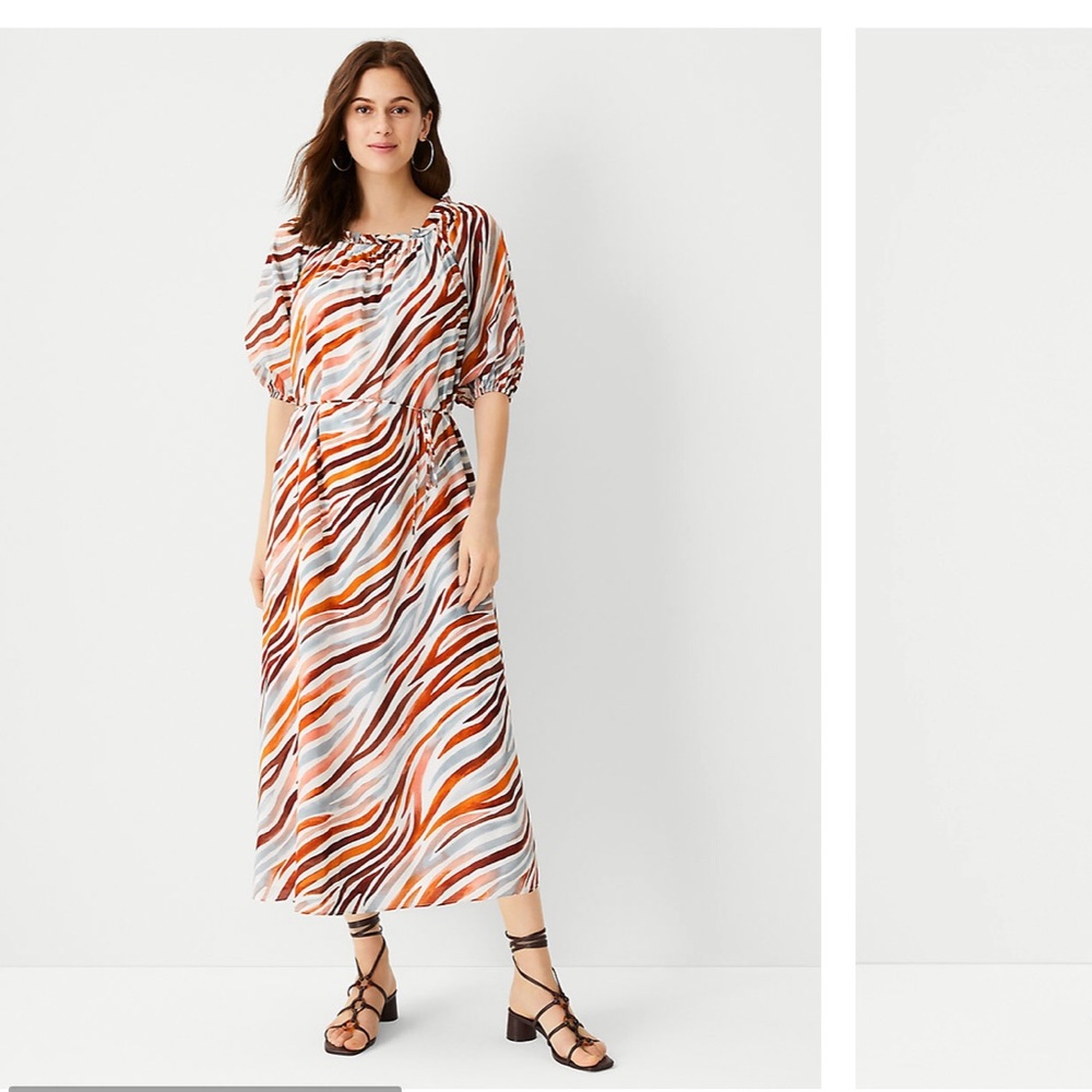 Ann Taylor Petite Zebra Stripe Boatneck Midi Dress